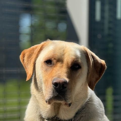 Ralph